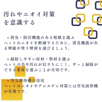 画像1162