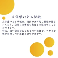 画像244