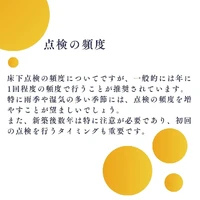画像251