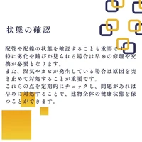 画像252
