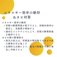 画像273