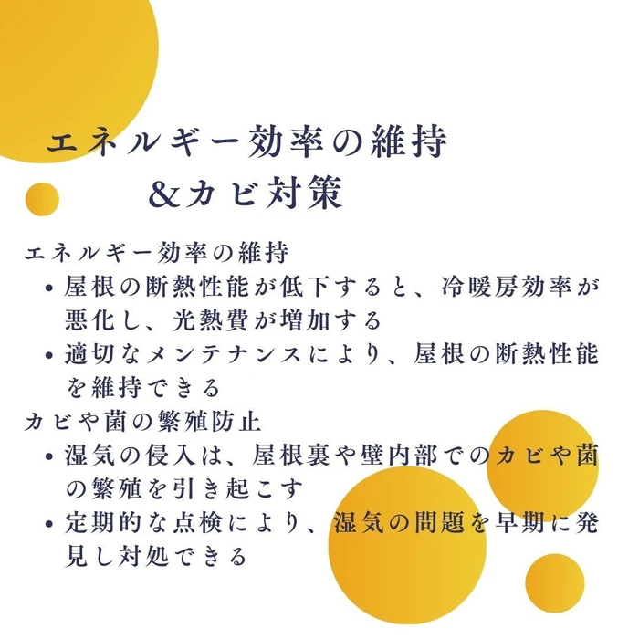 画像273