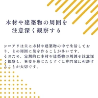 画像286