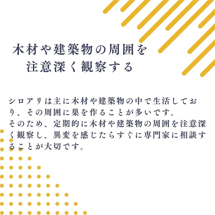 画像286