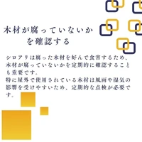 画像287
