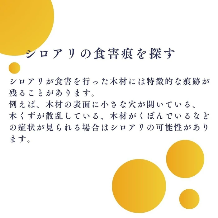 画像288
