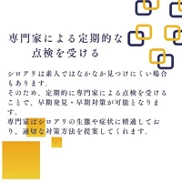 画像289