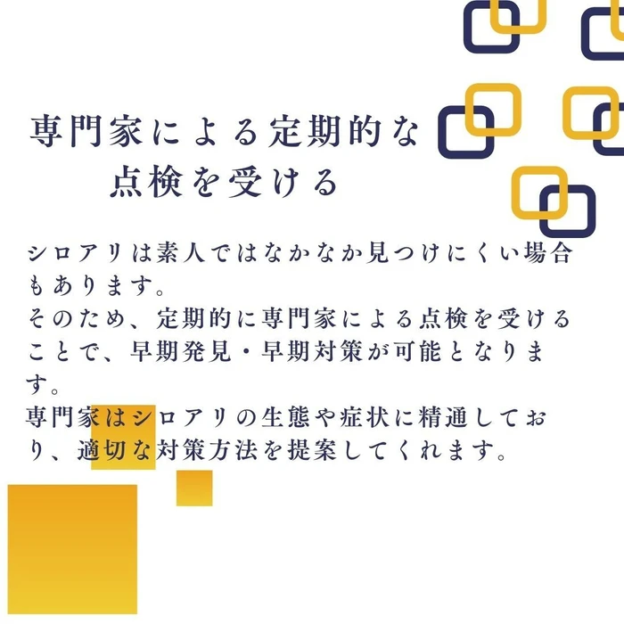画像289