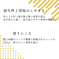 画像315