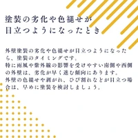 画像337