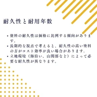 画像445