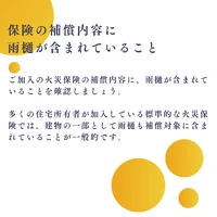 画像488