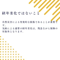 画像489