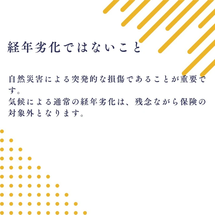 画像489