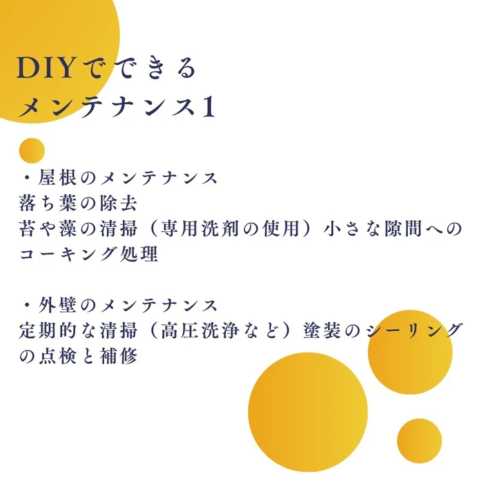 画像495