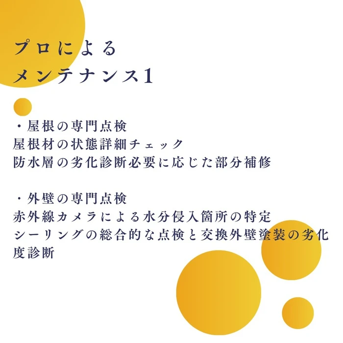 画像497