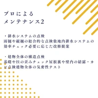 画像498
