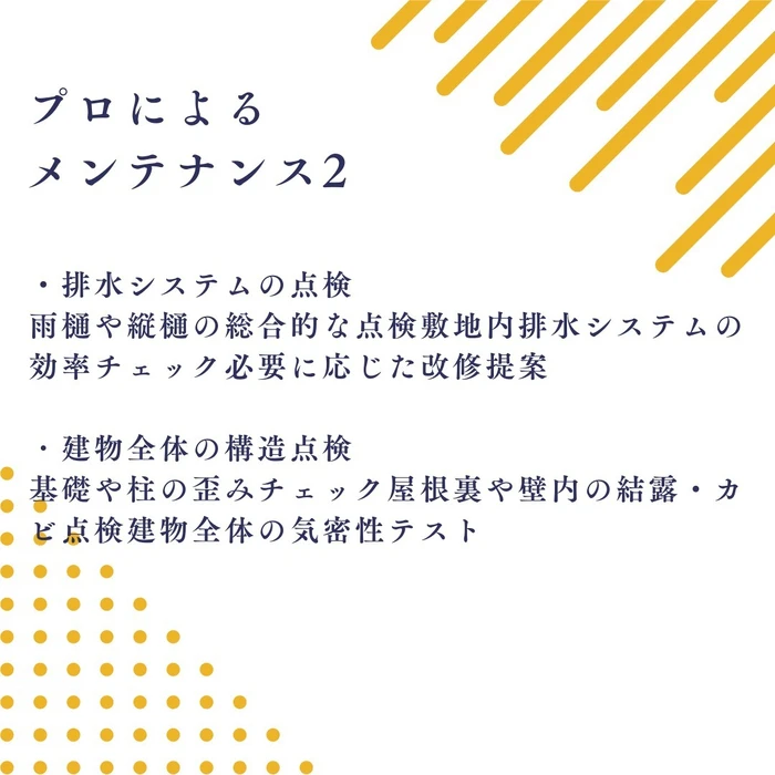 画像498