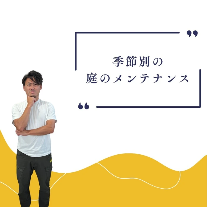画像551