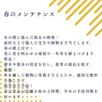 画像552