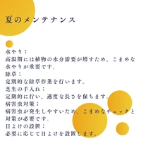 画像553