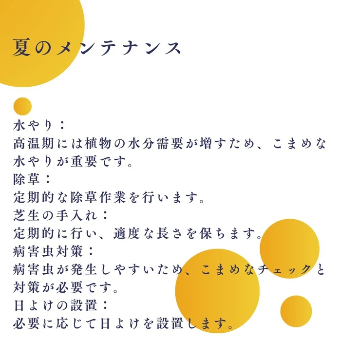 画像553