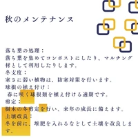 画像554