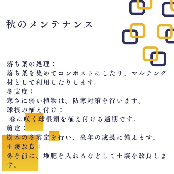 画像554