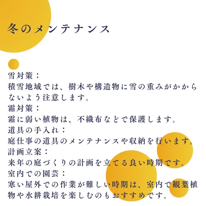 画像555