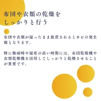 画像612