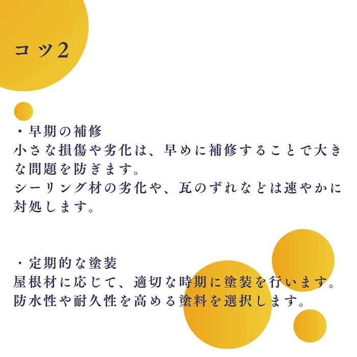 画像641