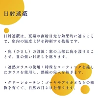 画像674