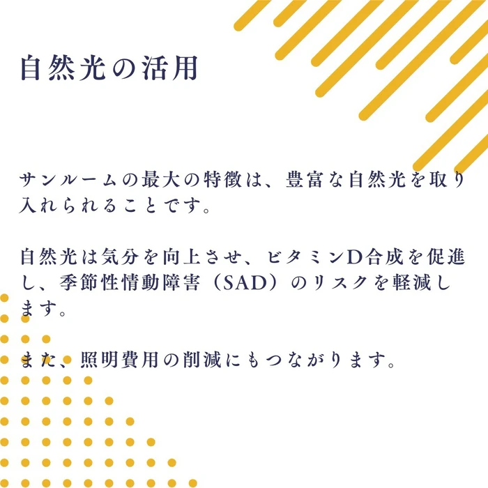 画像681