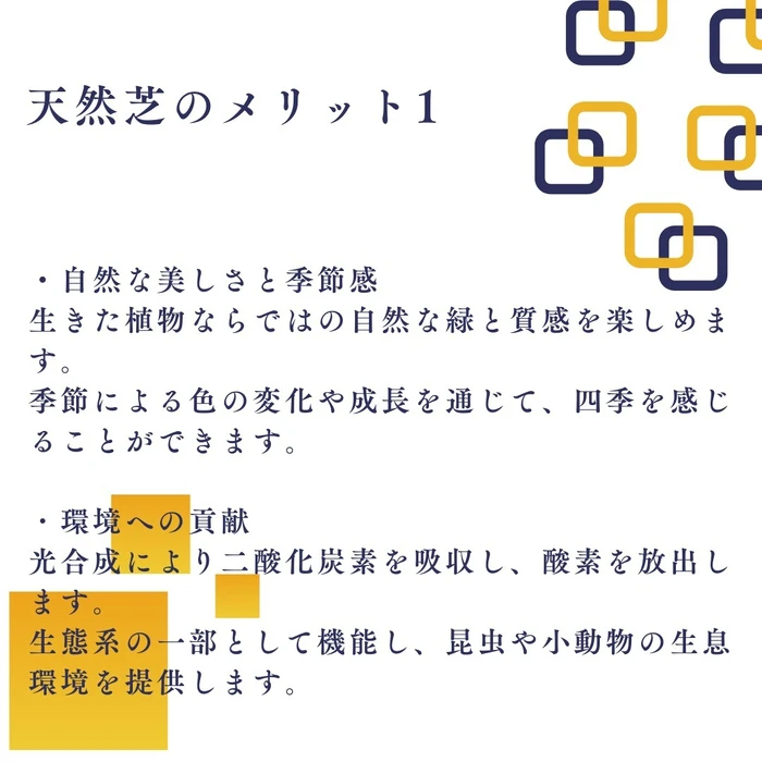 画像708
