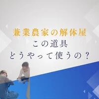 画像813
