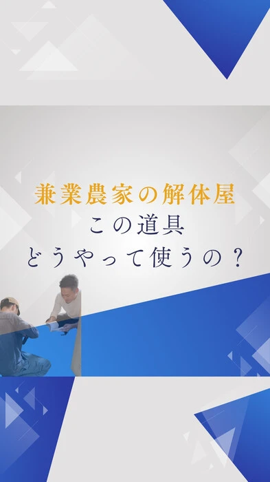 画像813