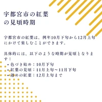画像823