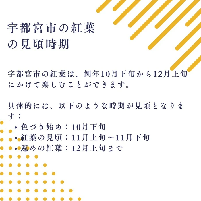 画像823
