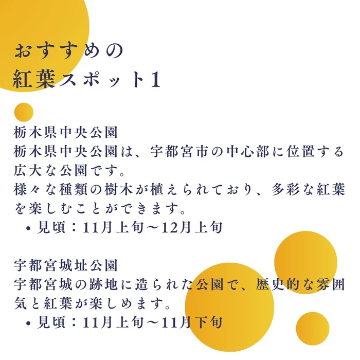 画像824