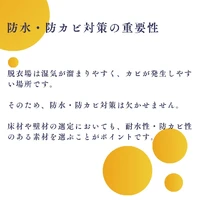 画像994