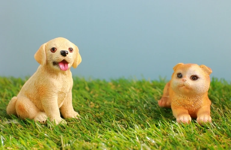 ペットと飼い主の共に快適な生活を実現する特別な空間をリフォーム。