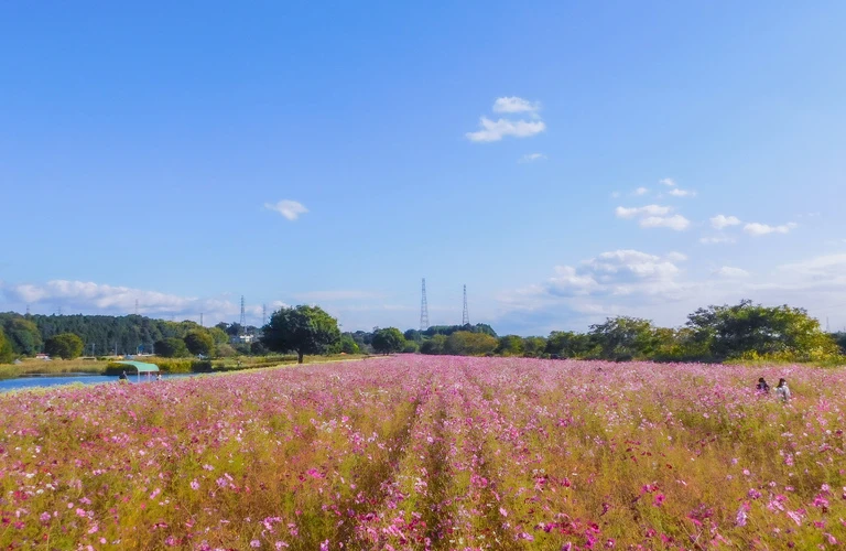 高根沢町の理想の住まい、私たちが実現します！