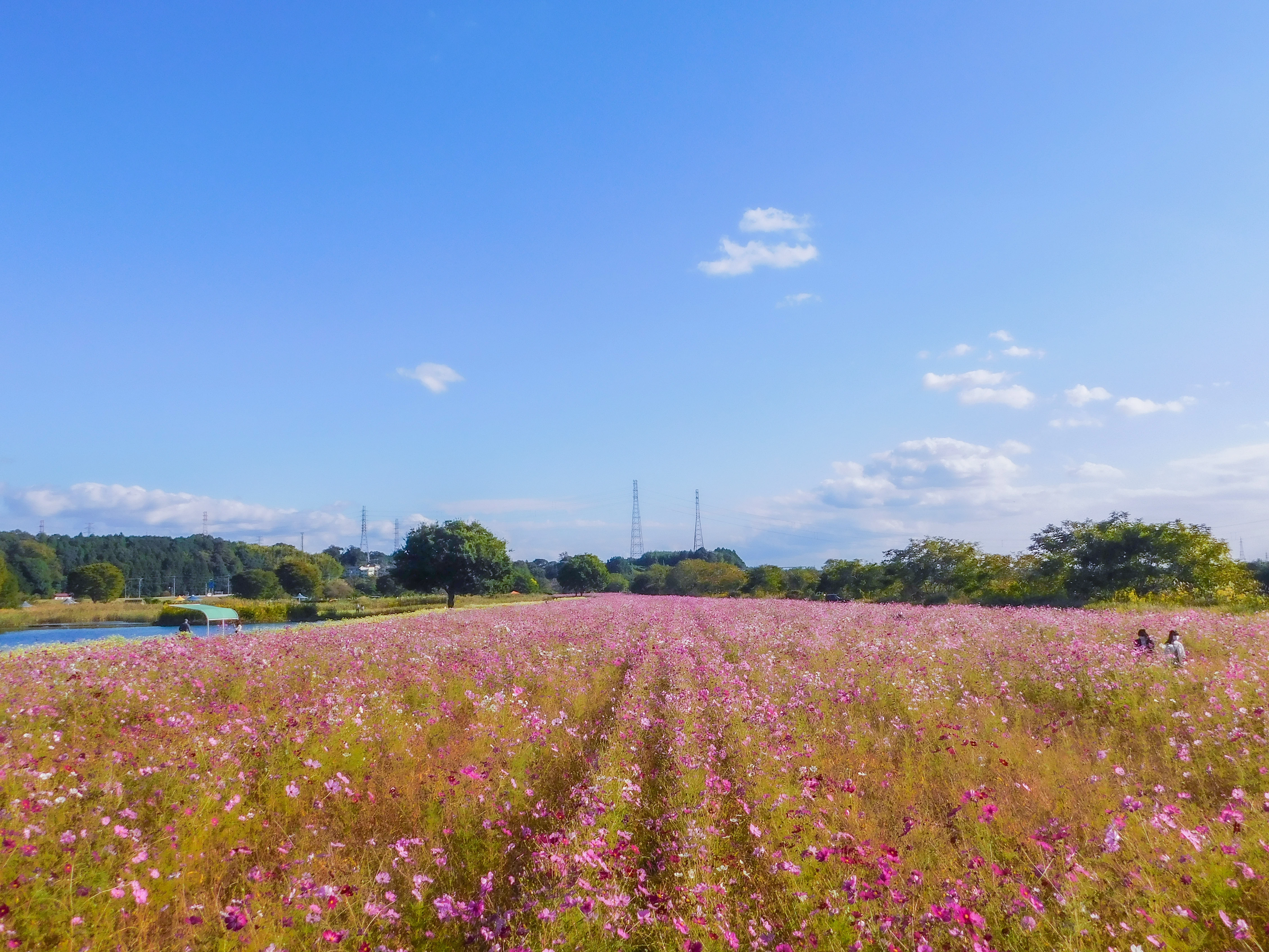 高根沢町の理想の住まい、私たちが実現します！